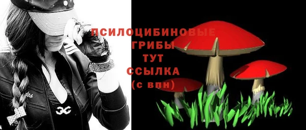 молекула духа Лабытнанги