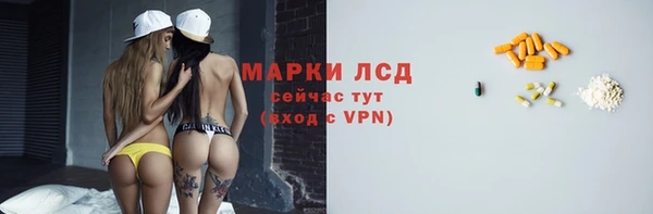 PSILOCYBIN Лагань