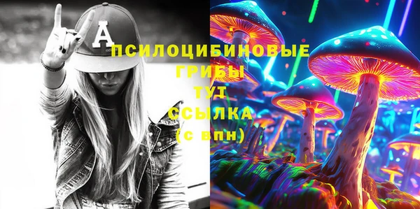 молекула духа Лабытнанги