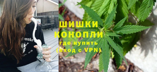 PSILOCYBIN Лагань