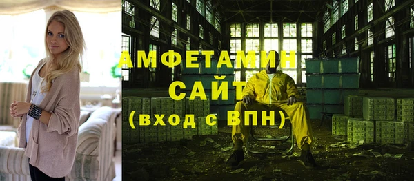 молекула духа Лабытнанги