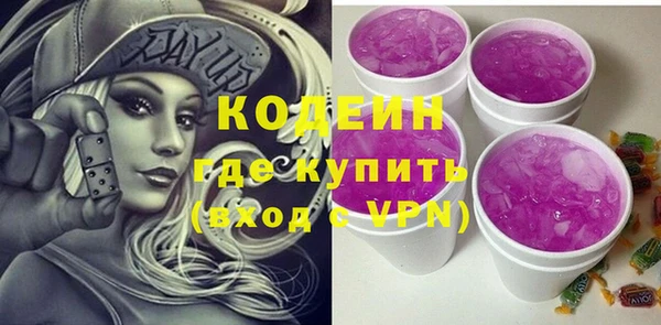 молекула духа Лабытнанги