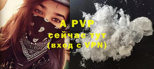 PSILOCYBIN Лагань