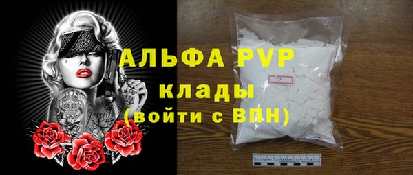 молекула духа Лабытнанги