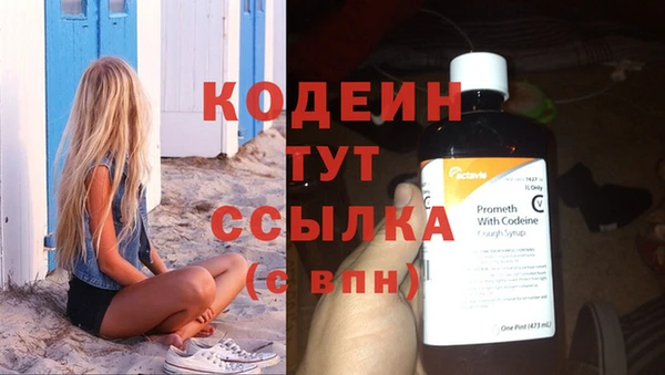 молекула духа Лабытнанги