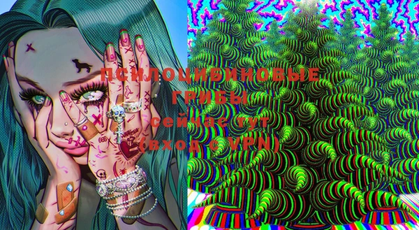 PSILOCYBIN Лагань