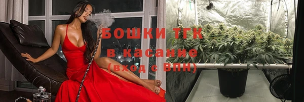 молекула духа Лабытнанги