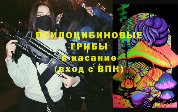 PSILOCYBIN Лагань